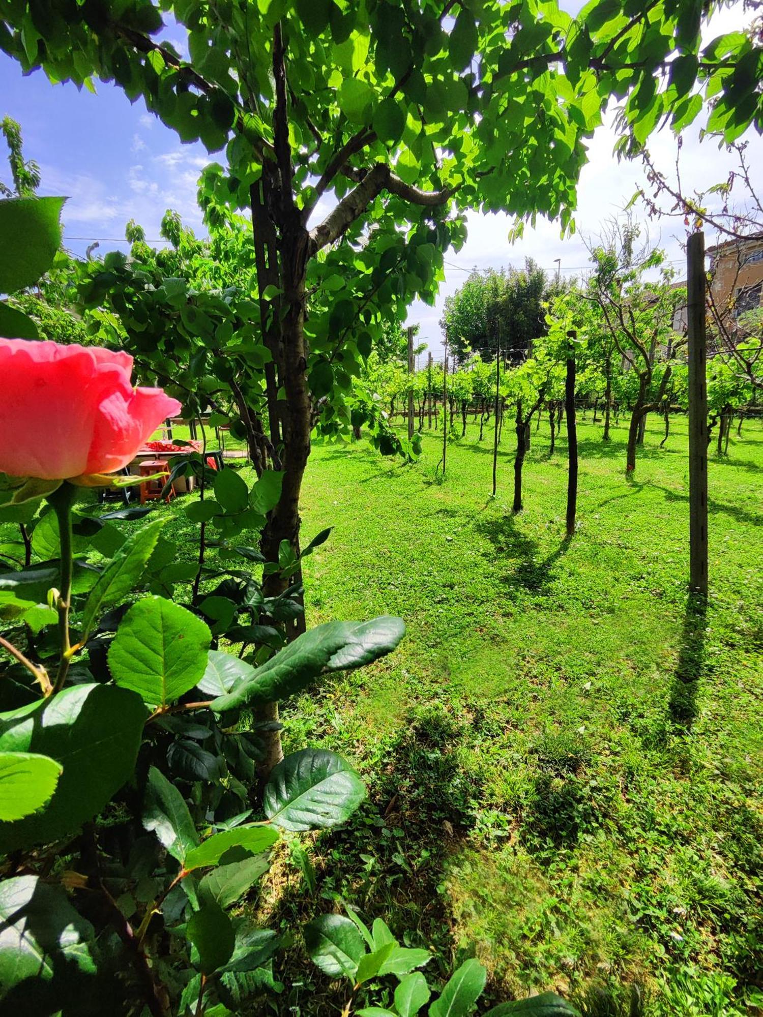 Garda Relais Antica Romelia Bed & Breakfast Montichiari Exterior photo