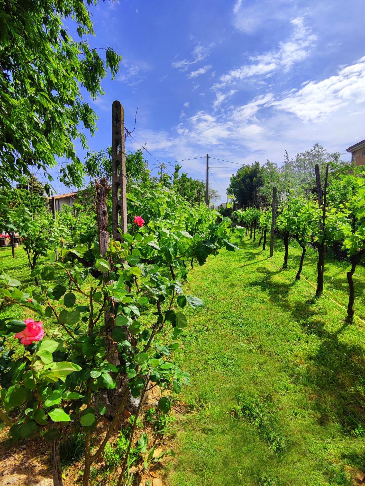 Garda Relais Antica Romelia Bed & Breakfast Montichiari Exterior photo